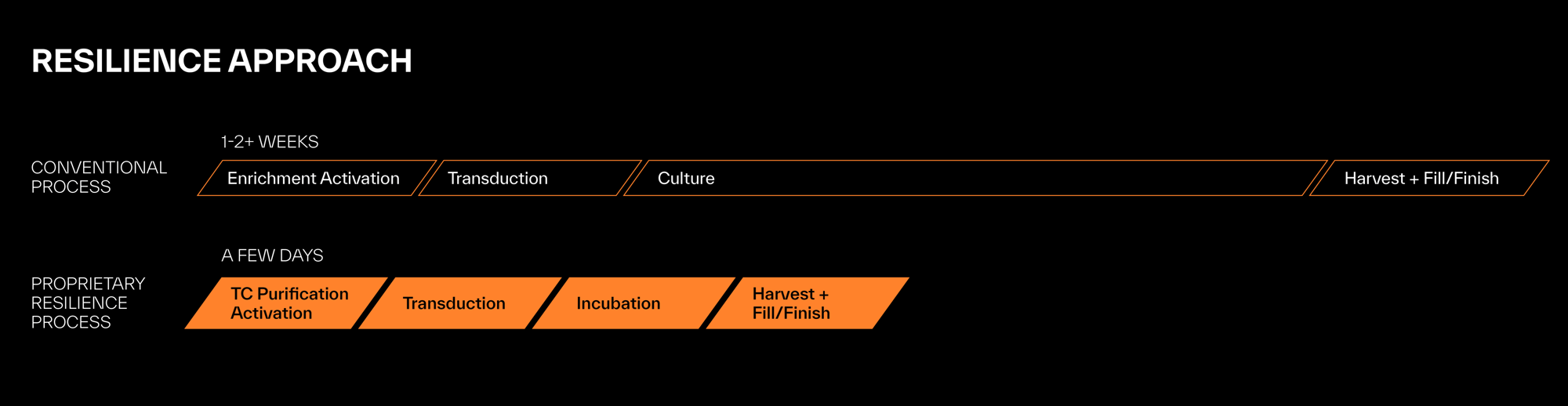 Resilience Approach