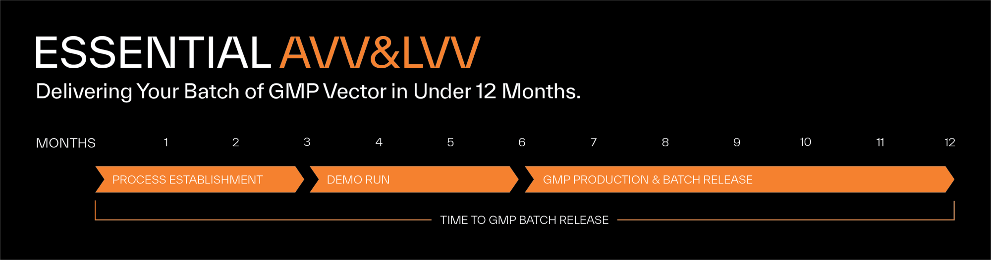 Essential AVV-LVV Timeline