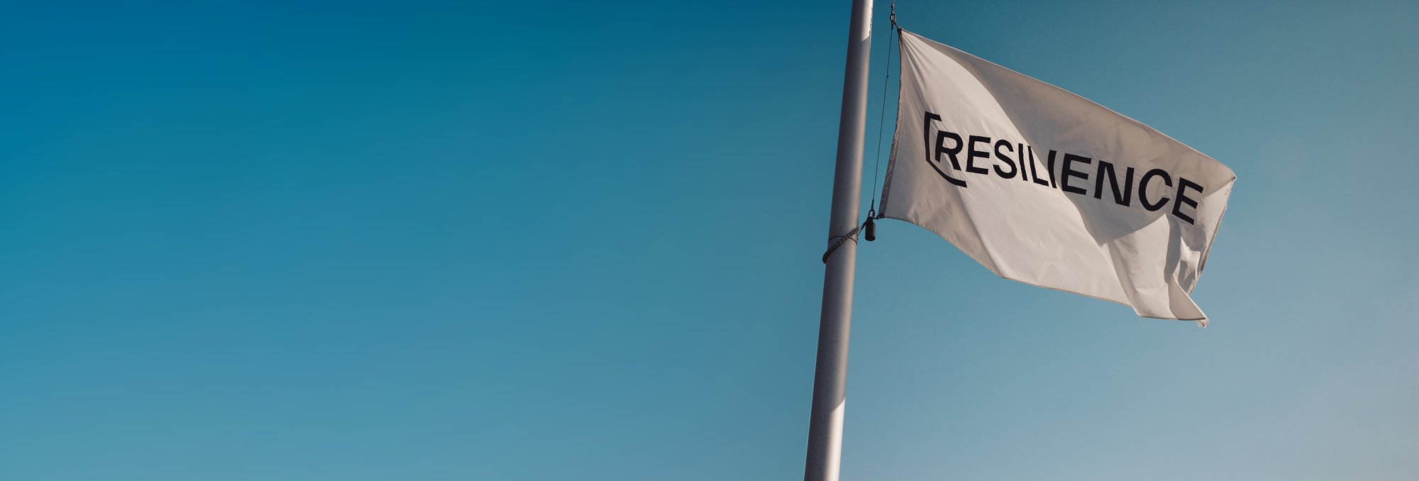 Resilience Flag Resilience Flag