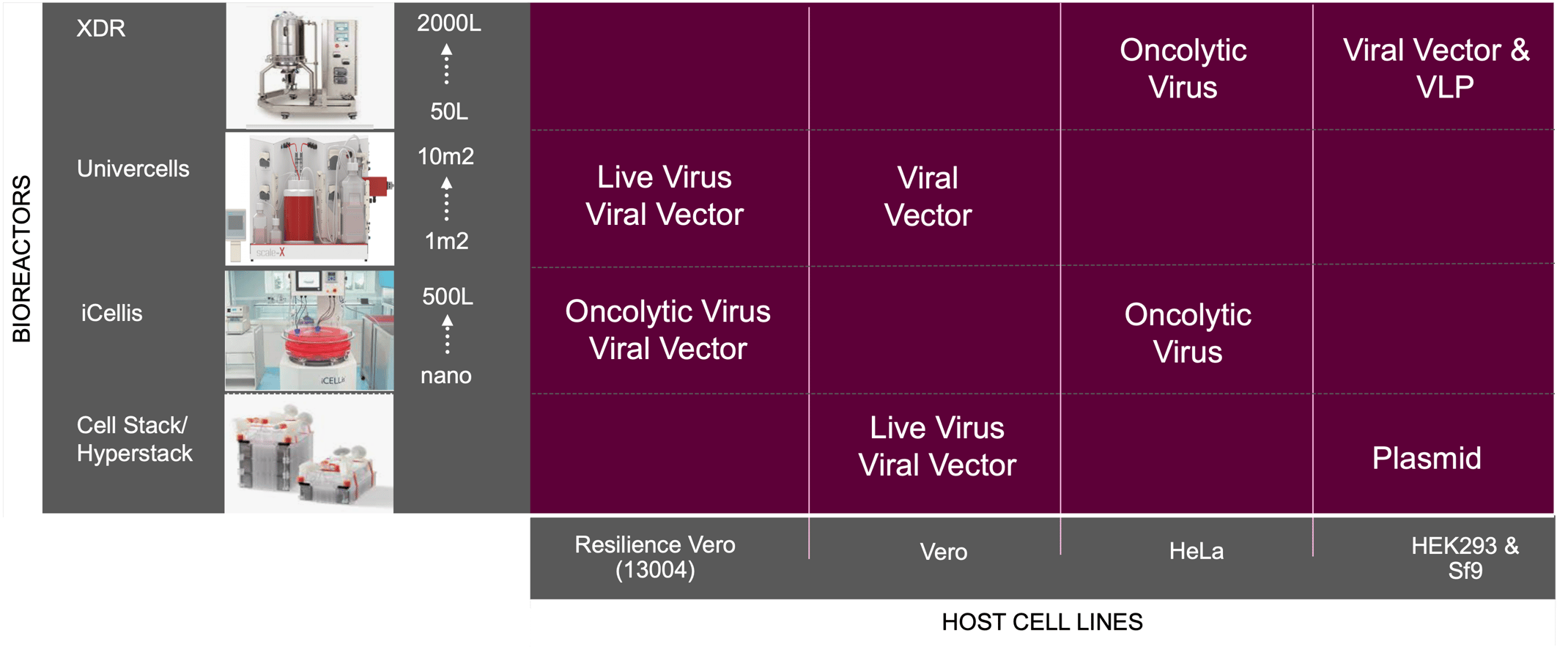 The Challenges and Solutions for Viral Products
