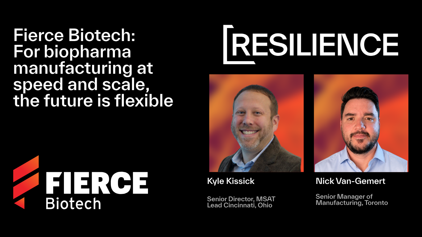 Resilience featured image